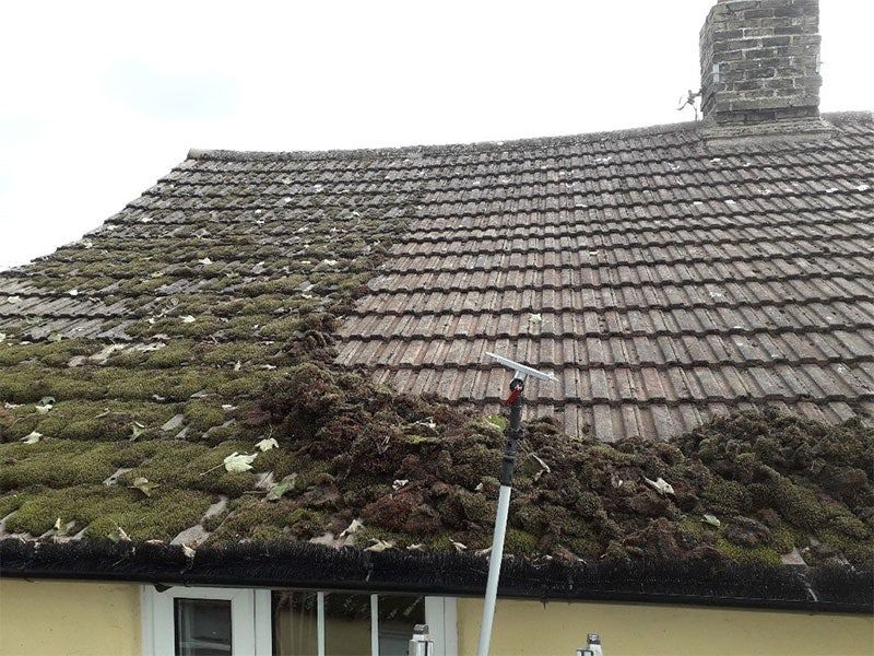 Roof Moss Removal