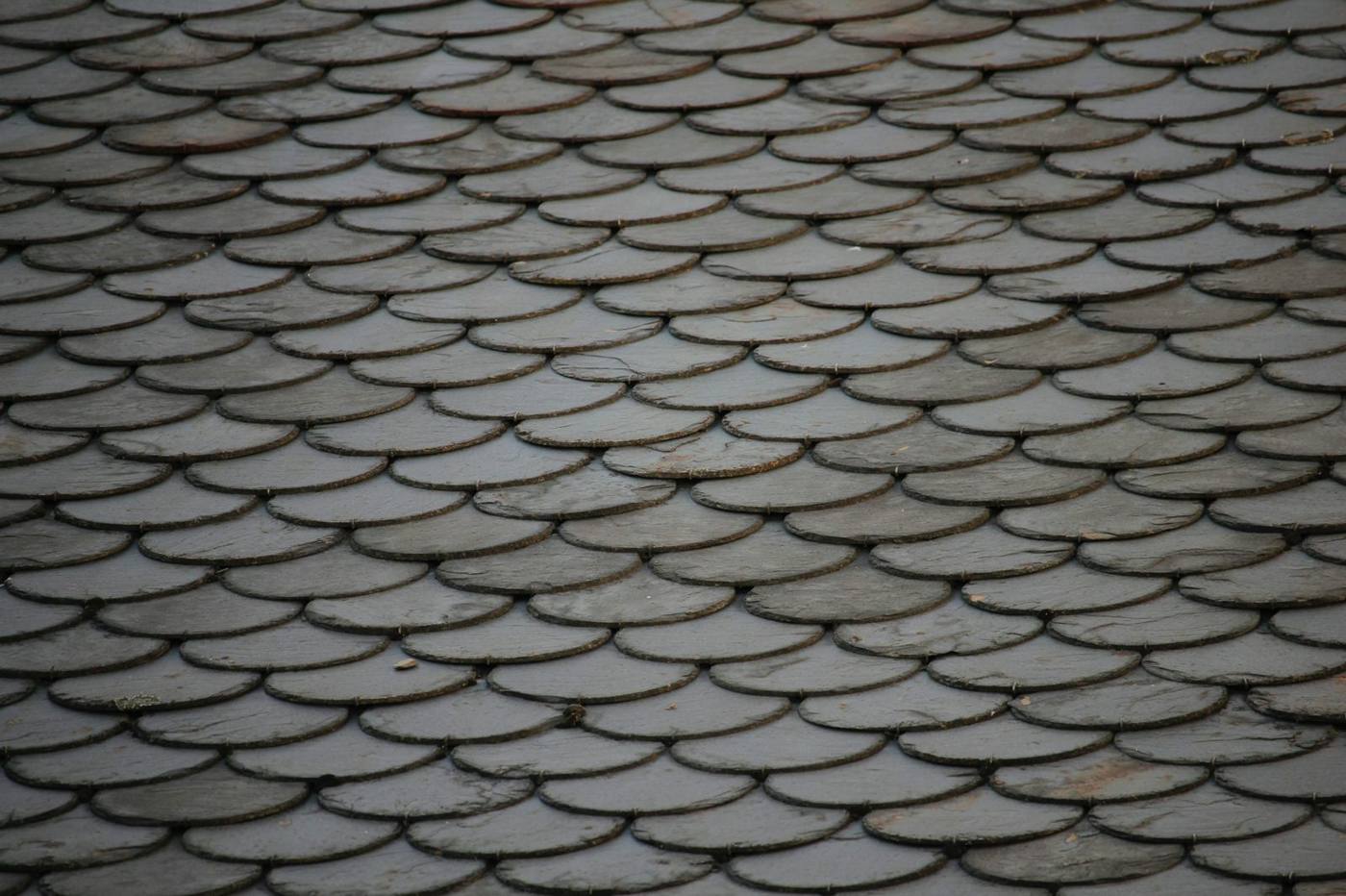 Slate roof tiles close-up